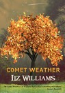 Comet Weather - Liz Williams - 9781912950461