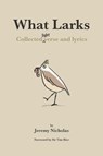 What Larks - Jeremy Nicholas - 9781913089580