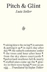 Pitch & Glint - Lutz Seiler - 9781913505769