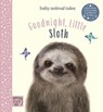 Goodnight, Little Sloth - Amanda Wood - 9781913520335