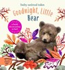 Goodnight, Little Bear - Amanda Wood - 9781913520342
