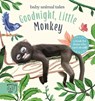 Goodnight, Little Monkey - Amanda Wood - 9781913520496