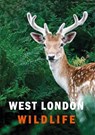 West London Wildlife - Ian Alexander ; Susanne Masters - 9781913641306