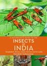 A Naturalist's Guide to the Insects of India - Meenakshi Venkataraman - 9781913679422