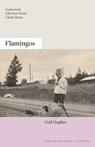 Flamingos - Gail Hughes - 9781913830908