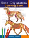 Horse + Dog Anatomy Coloring Book - Anatomy Academy - 9781914207082