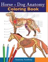 Horse + Dog Anatomy Coloring Book - Anatomy Academy - 9781914207082