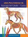 Libro para colorear de Anatomia del Caballo + Canina - Anatomy Academy - 9781914207341