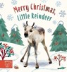 Merry Christmas, Little Reindeer - Amanda Wood - 9781915569011