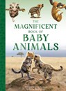 The Magnificent Book of Baby Animals - Barbara Taylor - 9781915588470