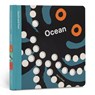 Spring Street Touch and Feel: Ocean - Boxer Books - 9781915801524