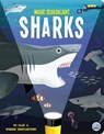 Magic Searchlight - Sharks - Kit Elliot - 9781917082235
