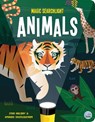 Magic Searchlight - Animals - Lydia Halliday - 9781917082457