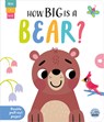 How Big Is a Bear? - Lisa Regan - 9781917082815
