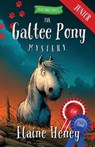 The Galtee Pony Mystery - Blackthorn Stables Junior - Elaine Heney - 9781917234832