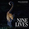 Nine Lives - Paul Goldstein - 9781917458566