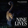 Nine Lives - Paul Goldstein - 9781917458566