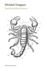Divided Tongues - Patrick Davidson Roberts - 9781917617499