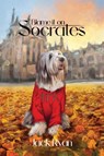 Blame it on Socrates - Jack Ryan - 9781917760935