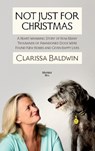 NOT JUST FOR CHRISTMAS - Clarissa Baldwin - 9781919383439