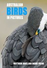 Australian Birds in Pictures - Mathew Jones ; Duade Paton - 9781921073175