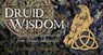 Druid Wisdom -  - 9781922579454