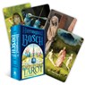 Hieronymus Bosch Tarot -  - 9781922579652