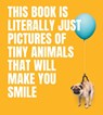 This Book Is Literally Just Pictures of Tiny Animals That Will Make You Smile - Smith Street Books - 9781922754578