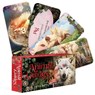 Animal Guides -  - 9781923208551