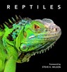 Reptiles - Steve Wilson - 9781925546675