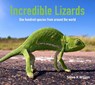Incredible Lizards - Steve K. Wilson - 9781925546989