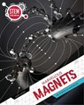 Marvellous Magnets - John Lesley - 9781925860863
