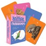 Unusual Animal Friendships -  - 9781925946857