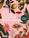 Vintage Botanical Illustration - Kale James - 9781925968040