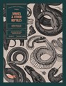 Snakes and Other Reptiles - Kale James - 9781925968880