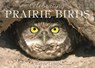A Celebration of Prairie Birds - Wayne Lynch - 9781927083574