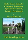 Holy Cross Catholic Cemetery, Lisnaskea, Aghalurcher Parish, County Fermanagh - David R. Elliott - 9781927357804