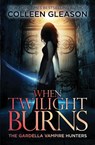 When Twilight Burns - Colleen Gleason - 9781931419734