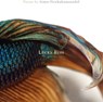 Lucky Fish - Aimee Nezhukumatathil - 9781932195583