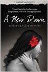 A New Dawn - Ellen Hopkins - 9781933771939