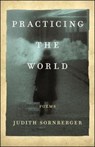 Practicing the World - Judith Sornberger - 9781933880693