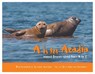 A is for Acadia: Mount Desert Island from A to Z - Ruth Grierson - 9781934031032
