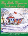 The Little House on Buchanan Street - David Wood - 9781934246641