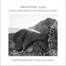 Prehistoric Suns - Steve Mulligan - 9781934491669