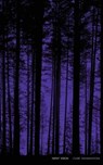 Night Vision - Claire Wahmanholm - 9781934832622