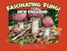 Fascinating Fungi of New England - Lawrence Millman - 9781936571017