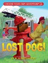Lost Dog! - R.A. Montgomery - 9781937133993