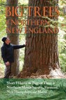 Big Trees of Northern New England - Kevin Martin - 9781937721879