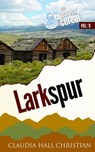 Larkspur - Claudia Hall Christian - 9781938057199