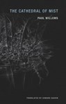 The Cathedral of Mist - Paul Willems - 9781939663184